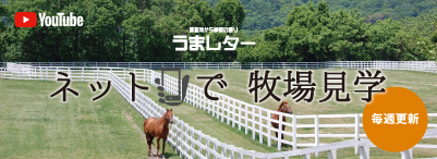 馬産地から季節の便り うまレター Web版